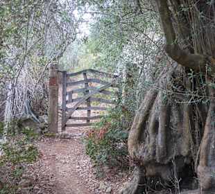 Wanderweg