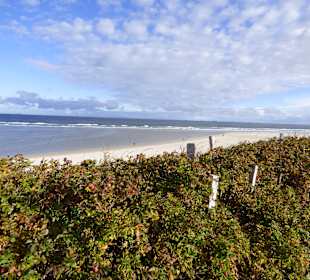 Strand Spiekeroog