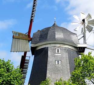 Kappe der Mühle mit Windrose und Jalousieflügeln