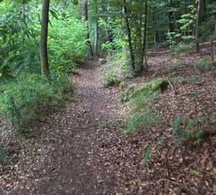 Museum Römer und Bajuwaren