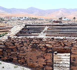 Inselrundfahrt Tagesausflug