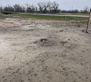 Badlands Ranch Store