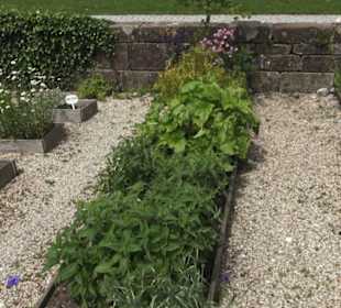 Benediktinerkloster Lorch