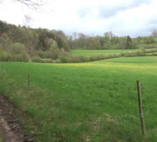 Premiumwanderweg Hochgebürzelt