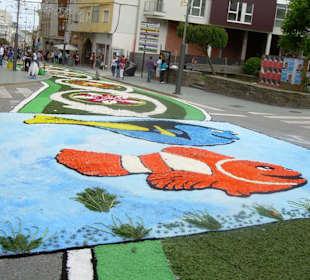 Alfombras florales Burela