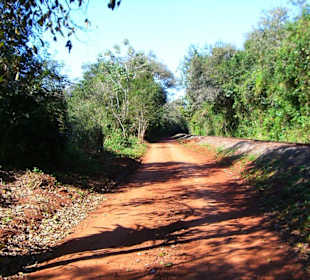 Viale inetrno al parco das Cataratas
