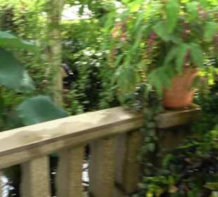 Gewächshäuser Botanischer Garten