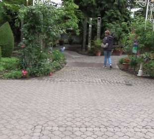 Themenbereich Deutschland