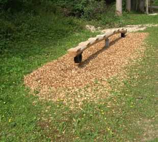 Phäno-Pfad Aichstetten