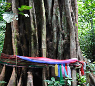 Tiger Cave Tempel (Wat Tham Sua)