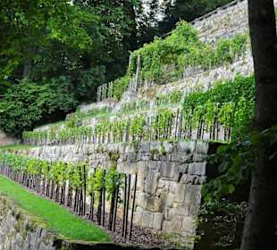 Spaziergang durch den Schlosspark Fantaisie