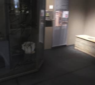 Badisches Landesmuseum