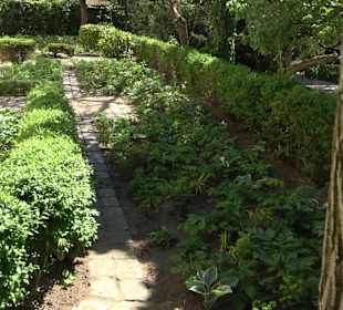 Rosengarten Nördlingen