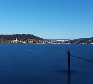 Wandern Titisee-Neustadt