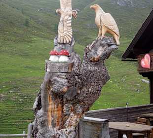 Die "Vögel"