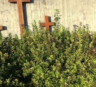 Kriegerdenkmal Altheim