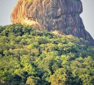 Sigiriya Rock - wir waren oben