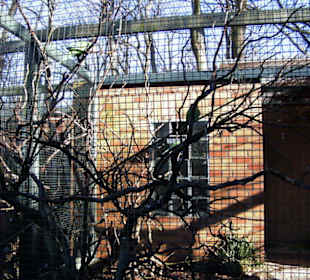 Zoo Dortmund - Die Tiere