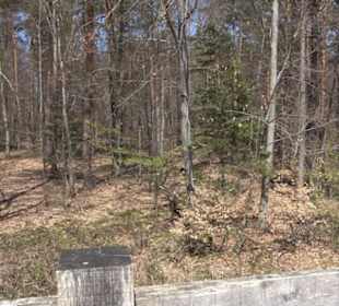 Waldkulturerbe Neuweiler Viehweide