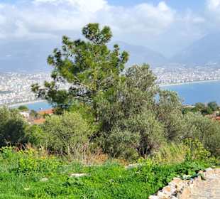 Burg Alanya - Blick auf Alanya