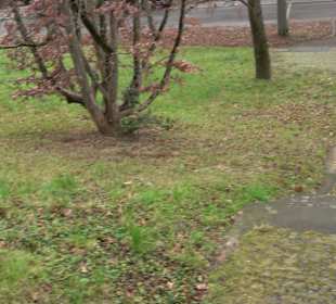 Park am Kriegsbergturm