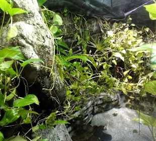 Gestaltung auch oberhalb der Wasserlinie