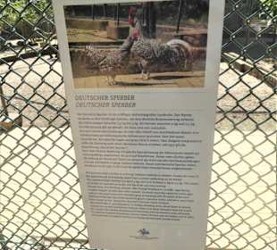 Voliére auf der Pfaueninsel