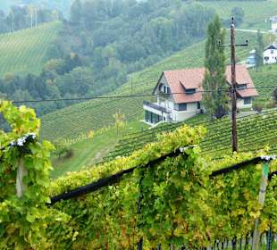 Südsteirische Weinstrasse