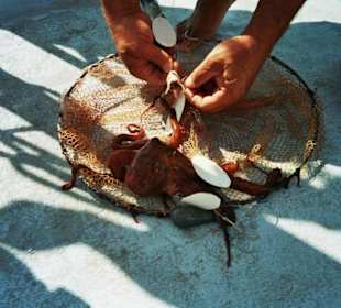 Bootssafari mit Angelspaß