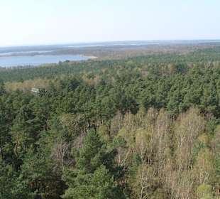 Blick vom Käflingsbergturm