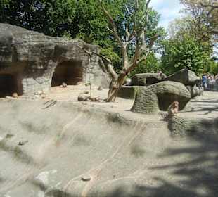 Tierpark Hagenbeck