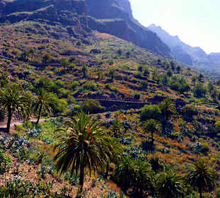 Masca