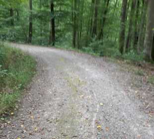 Altwege Rundwanderung Bebenhausen