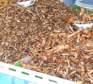 Auf einem Strassenstand