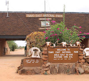 Einfahrt NP Tsavo East