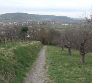 Unterjesinger Wengertwegle