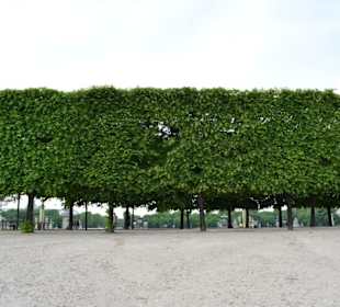 Jardin des Tuileries