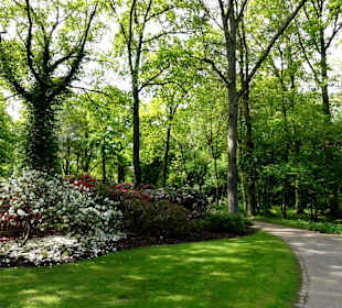 Spaziergang durch den Rhododendronpark im Mai