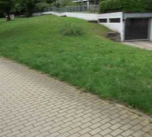 Kunst- und Sinnespfad