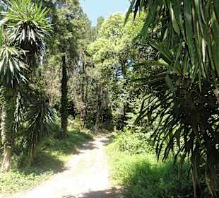 Im Mon Repos Park