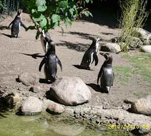 Tierpark Hagenbeck
