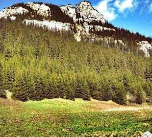 ,,Za górami , za lasami"