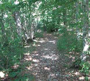 Tour entlang der Traifelbergfelsen