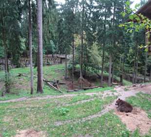 Rundgang durch den Wildpark Schwarze Berge