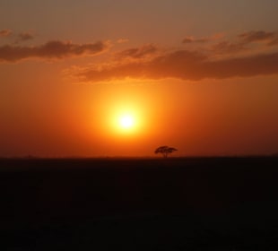 Traumhafter Sonnenuntergang