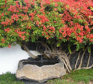 Wunderschöne Aussengestaltung