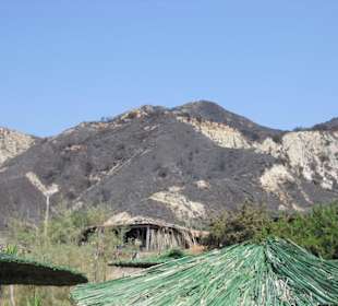 Waldbrände um Dafni Beach 2009