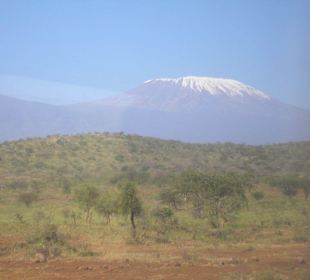 Blick auf den Kilimanjaro vom Amboseli NP