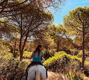 Reitstall Finca el Anfora Conil