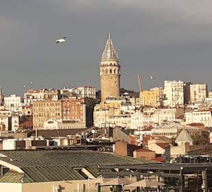 Ausblick von Bord der Costa Pacifica